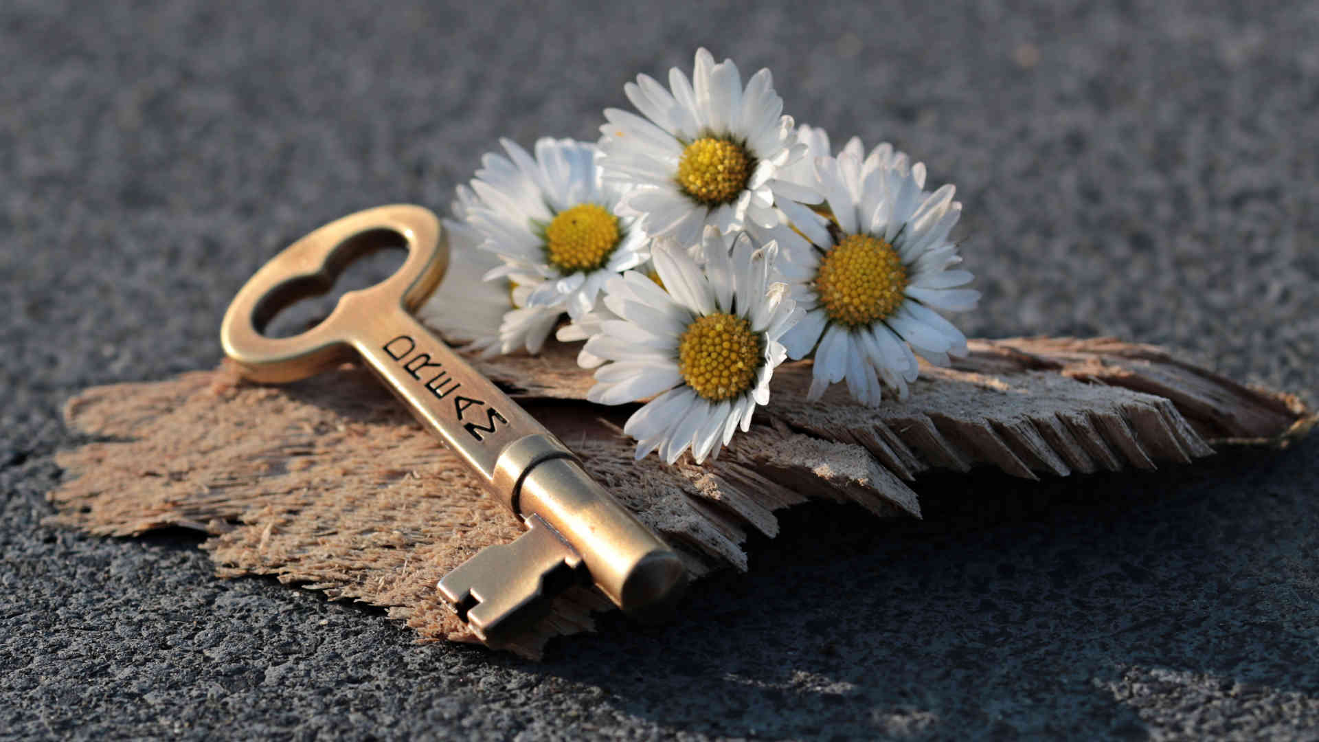 Ein Schlüssel mit der Gravur „Traum“ liegt auf einem Stück Holz an der Seite von Blumen. Du musst den Schlüssel nur ergreifen, um die Tür zur Erfüllung Deiner Träume damit aufzuschließen.
